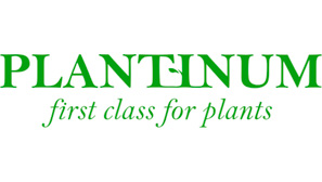Plantinum (Нидерланды)